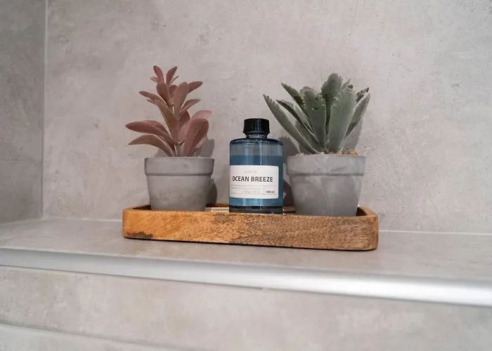 Appartement Hector - Comfort In The Center Of